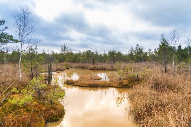 Manzara, kükürt izotopik bataklık