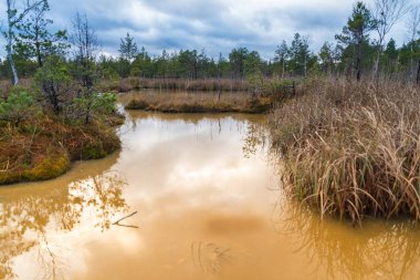 Manzara, kükürt izotopik bataklık