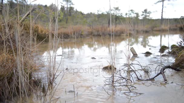 Landschap Zwavel Isotopische Bog — Stockvideo