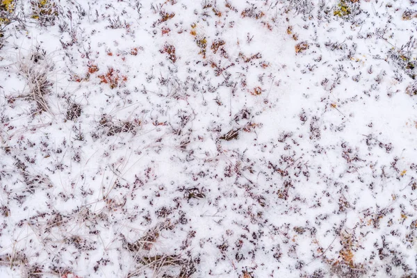Mooie winter achtergrond, sneeuw — Stockfoto