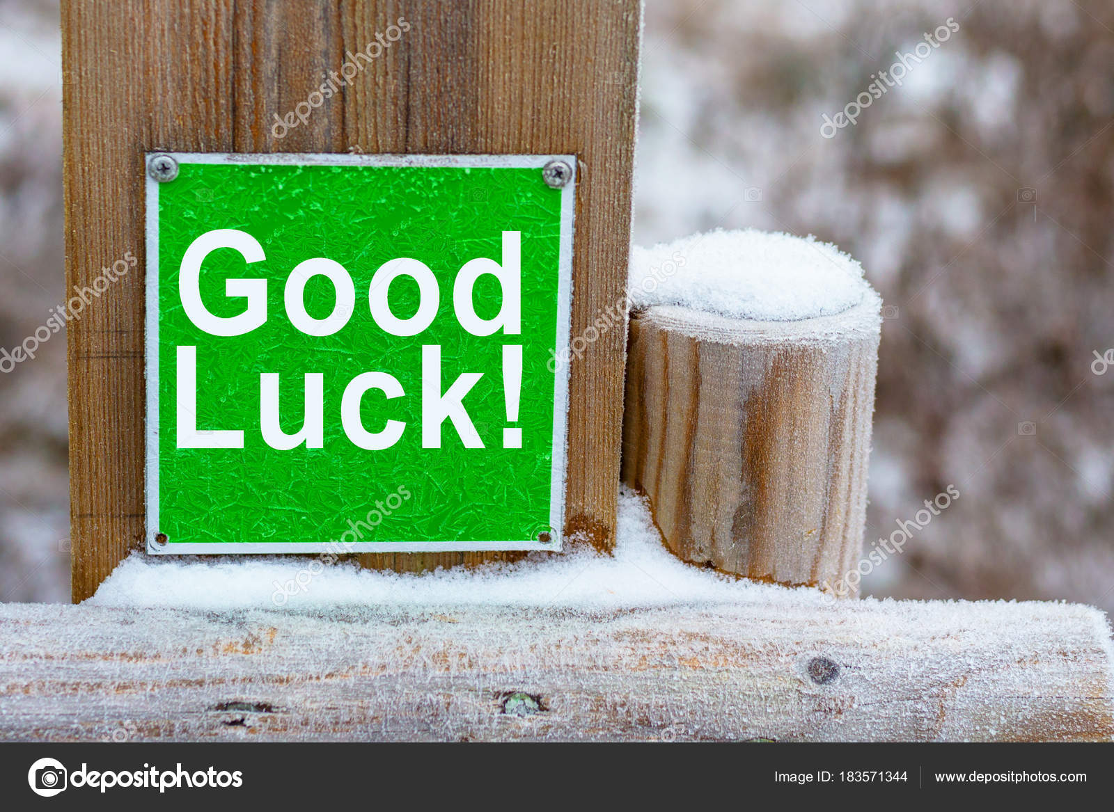 Good Luck In Winter Forest Stock Photo Image By C Yumis