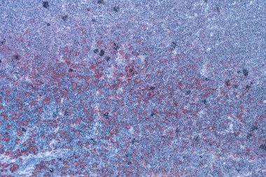 Granit taş dokulu yüzeyi 