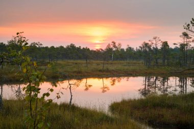 Gündoğumu günbatımı üzerinde doğal bataklık