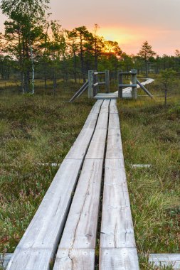 Gündoğumu günbatımı üzerinde doğal bataklık