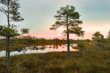 Gündoğumu günbatımı üzerinde doğal bataklık