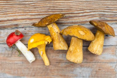 Ahşap arka planda mantarlar