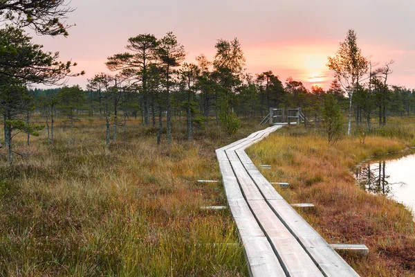 Gündoğumu günbatımı üzerinde doğal bataklık