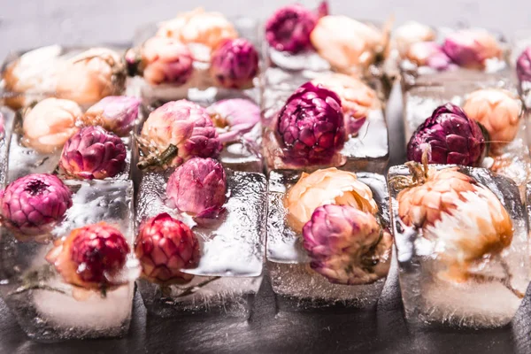 Замороженные цветы, кубики льда флористическое оформление — стоковое фото