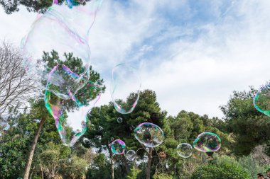 Dev balon üfleyici Park