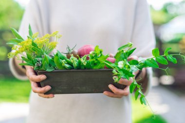 Metal bir kase salata ve Sebze Bahçe