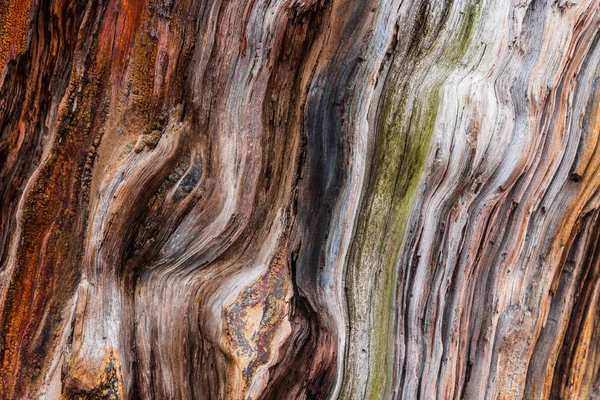 Stare drewno teksturowane tło — Zdjęcie stockowe