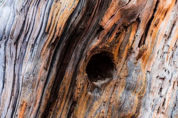 Altes Holz strukturierten Hintergrund — Stockfoto