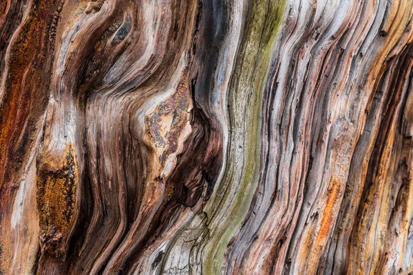Staré dřevo texturované pozadí — Stock fotografie