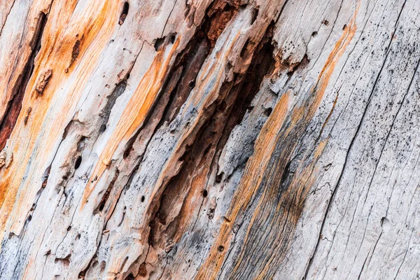 Altes Holz strukturierten Hintergrund — Stockfoto