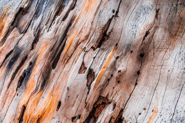 Altes Holz strukturierten Hintergrund — Stockfoto