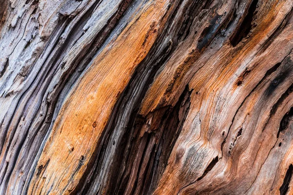 Régi fa texturált háttér — Stock Fotó