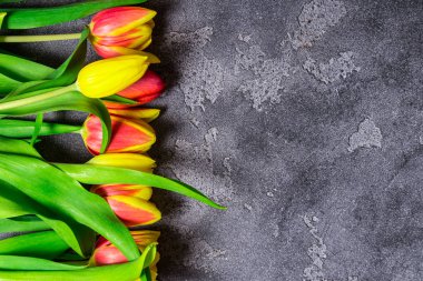 gri zemin üzerine lale