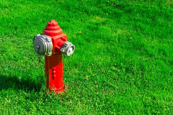 Red fire plug on green grass.