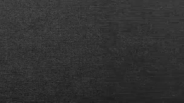 Black White Plastic Textured Background Motion Graphic — Stock Video