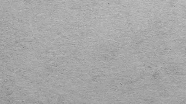 Vieux carnet vintage feuille, fond texturé, motion graphic 