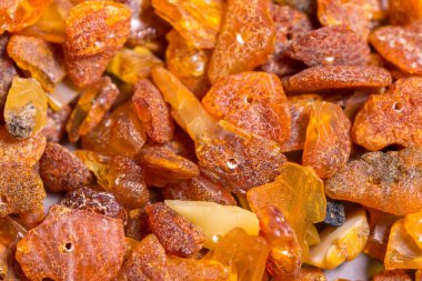 Bir sürü doğal Baltık kehribar boncuğu, yakın çekim.