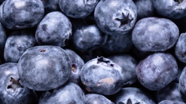 Fresh Blueberries Textured Background Macro — Stock Video