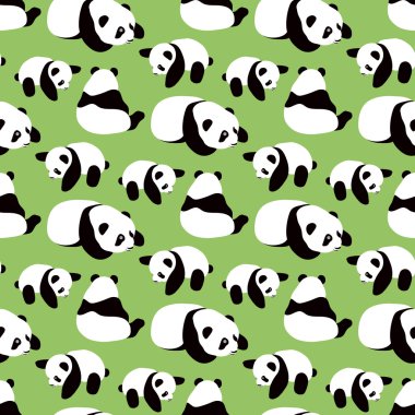 Ayı Panda vektör arka plan