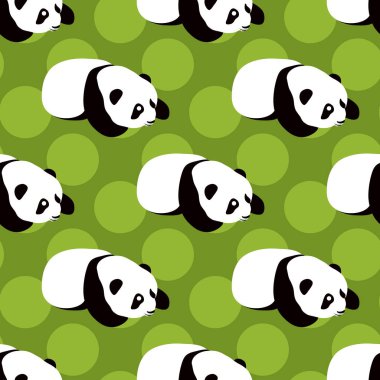 Ayı Panda vektör arka plan