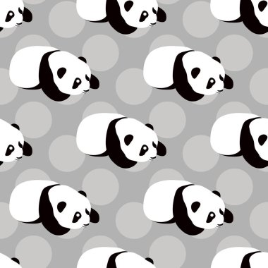 Ayı Panda vektör arka plan