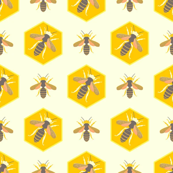 蜂のベクトルの背景 — ストックベクタ