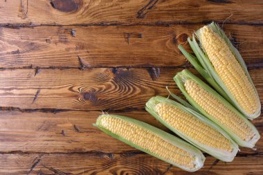 Genç mısır koçanı