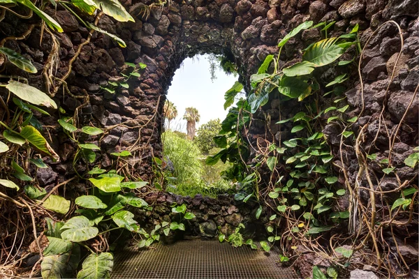 Jardín idílico en Puerto de la Cruz, Tenerife, España . — Foto de Stock