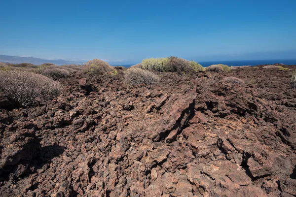 Malpais de Guimar, paysage volcanique des badlands à Tenerife, Cana — Photo