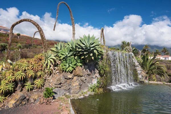 La Palma, Hiszpania - 9 września: Ogród hotelu parador Nacional — Zdjęcie stockowe