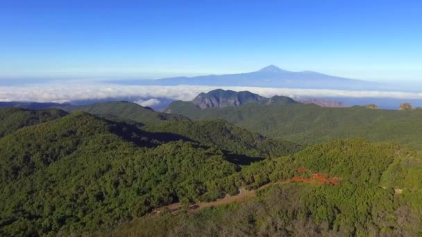 Beautiful aerial footage of Garajonay national park in La Gomera island, with Tenerife island and Teide volcano in the background, Canary island, Spain. — Stock Video