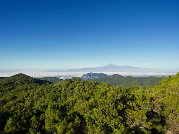 Garajonay Milli Parkı La Gomera Adası'nın güzel havadan görünümü. — Stok fotoğraf