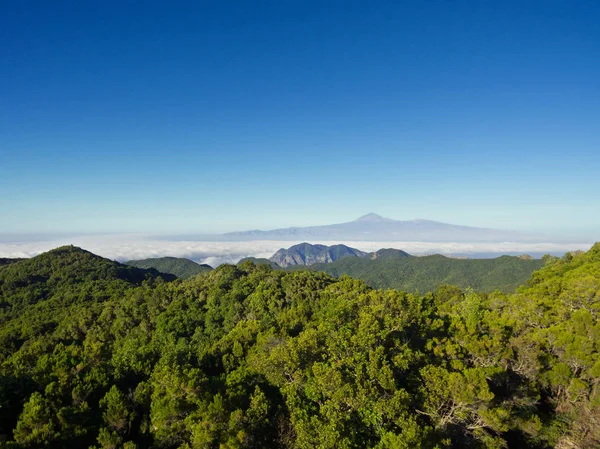 Beautiful aerial view of Garajonay national park in La Gomera island. — Stock Photo, Image