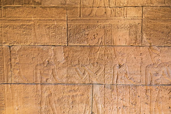 Real Hieroglyphic carvings on the walls of an ancient egyptian temple. — Stock Photo, Image