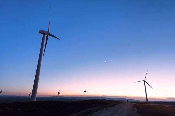 Wind farm at dusk — Stock Photo, Image
