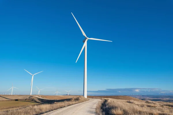 Windmill farm. Blue sky. — Stock Photo, Image