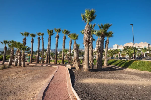 Parque urbano na aldeia de Alcala, suth Tenerife island, Canárias, Espanha . — Fotografia de Stock