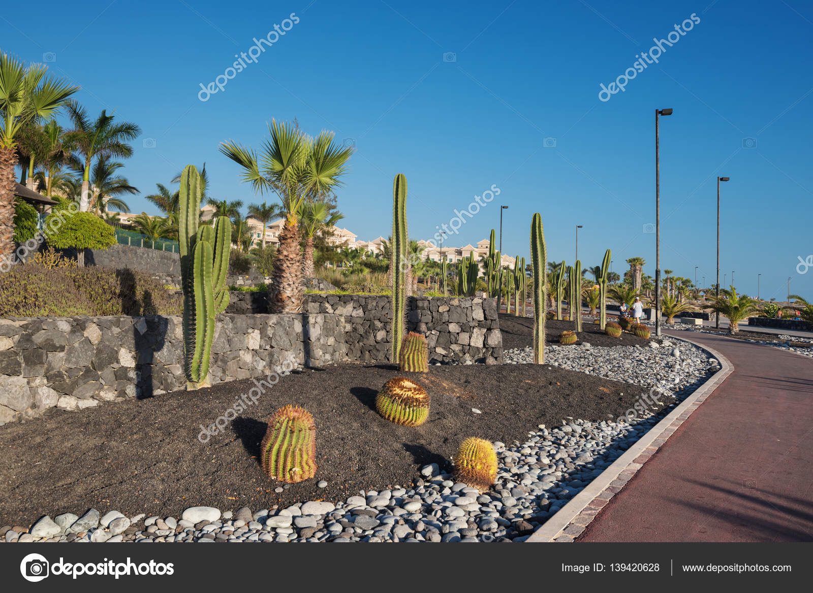 Urban Cactus Park In Alcala Village Suth Tenerife Island - 