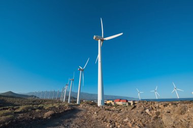 Tenerife, İspanya - 1 Ocak 2016: Güney Tenerife Tarih 1 Ocak 2016 güneşli bir günde elektrik üreten yel türbinleri.