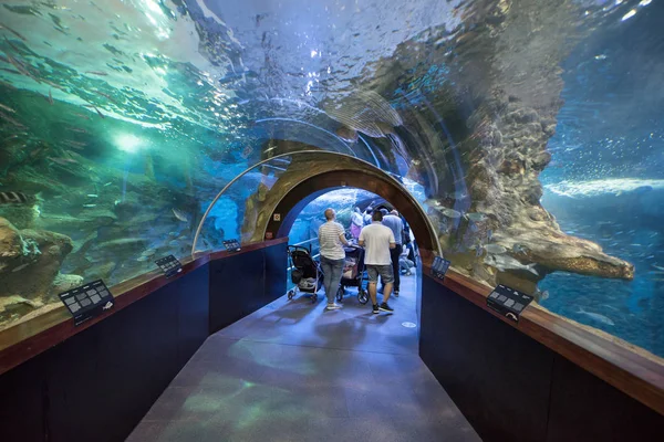 San sebastian, spanien - 10. juni 2017: besucher besuchen das berühmte san sebastian aquarium, baskenland, spanien. — Stockfoto