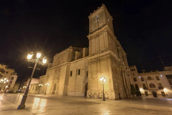 西班牙阿利坎特省埃尔切大教堂夜景 — 图库照片