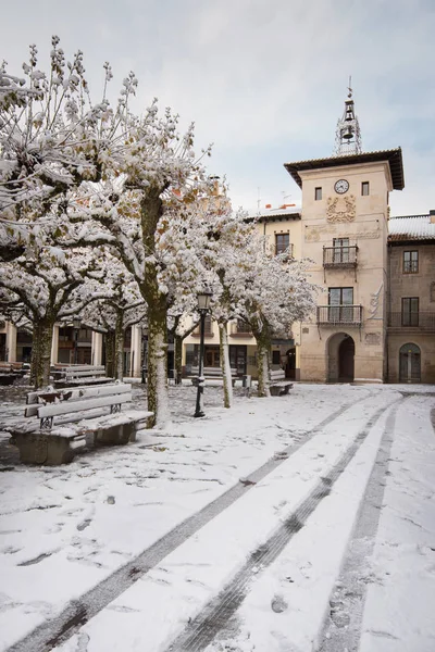 Zimowa Scena Zasypani Gród Krajobraz Dawnych Wsi Briviesca Prowincji Burgos — Zdjęcie stockowe