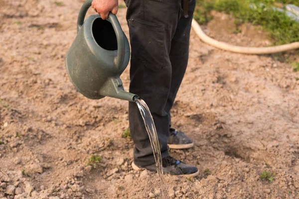 Bonde Vattna Växter Trädgården — Stockfoto