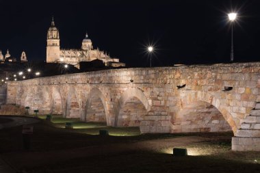 Gece görünümü Salamanca Katedrali ve Roma köprü Tormes r üzerinde