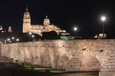 Gece görünümü Salamanca Katedrali ve Roma köprü Tormes r üzerinde