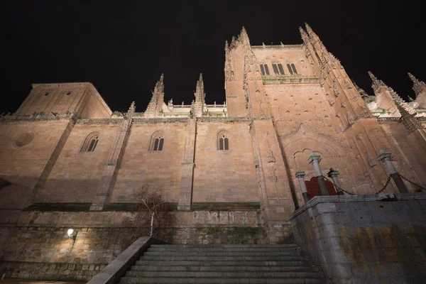Fassade der Kathedrale von Salamanca bei Nacht. — Stockfoto